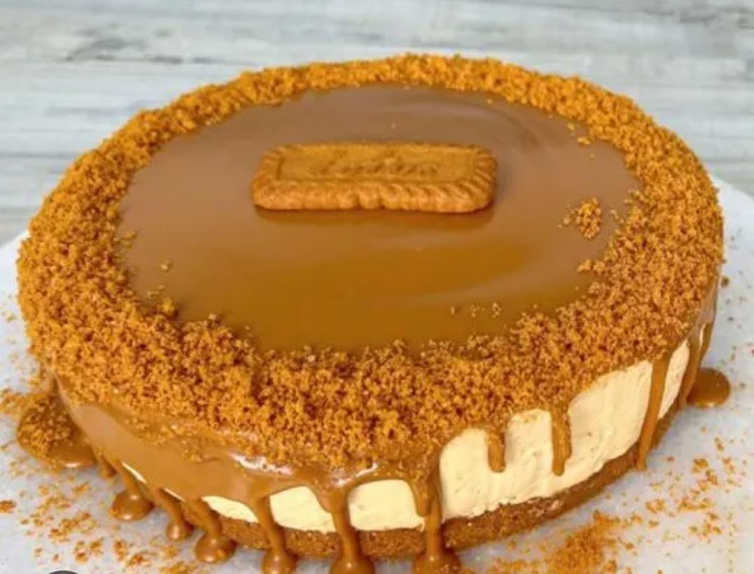 Mein Lotus Cheesecake (bzw. von meiner Schwester)